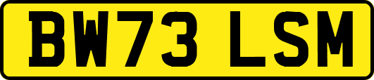 BW73LSM