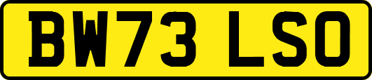 BW73LSO