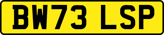 BW73LSP