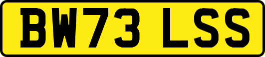 BW73LSS