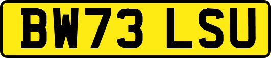BW73LSU