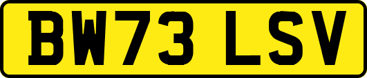 BW73LSV