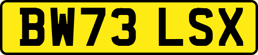 BW73LSX