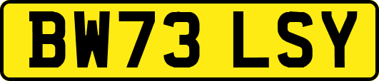 BW73LSY
