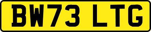 BW73LTG