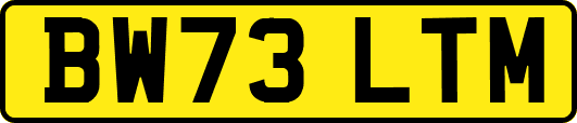 BW73LTM
