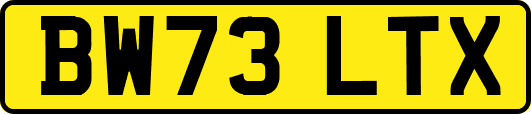 BW73LTX