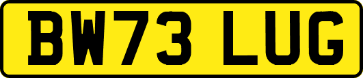 BW73LUG