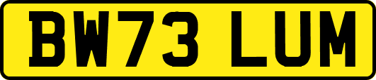 BW73LUM