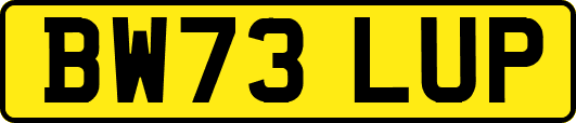 BW73LUP