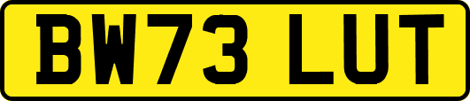 BW73LUT