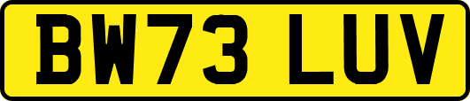 BW73LUV