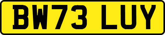 BW73LUY