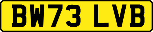 BW73LVB