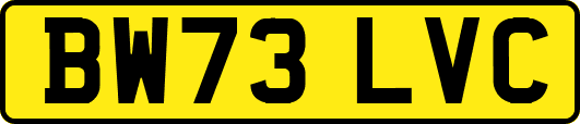 BW73LVC