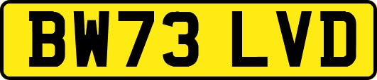BW73LVD