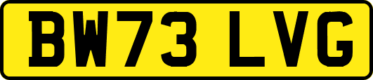 BW73LVG