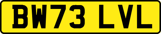 BW73LVL