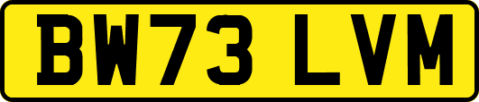 BW73LVM
