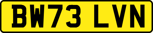 BW73LVN