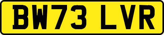 BW73LVR