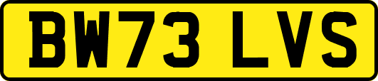 BW73LVS