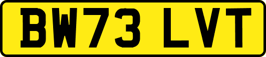 BW73LVT