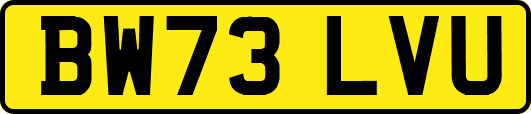 BW73LVU