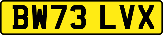 BW73LVX
