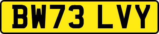 BW73LVY