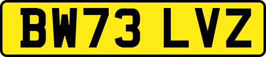 BW73LVZ