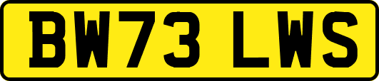 BW73LWS