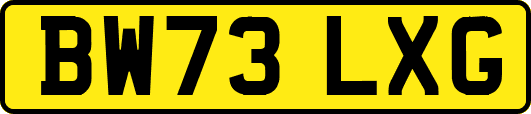 BW73LXG