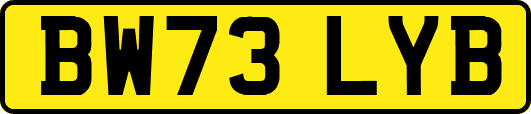 BW73LYB