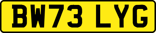 BW73LYG