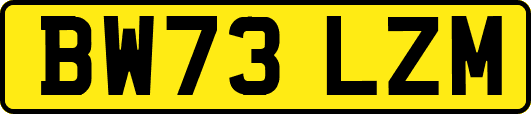 BW73LZM