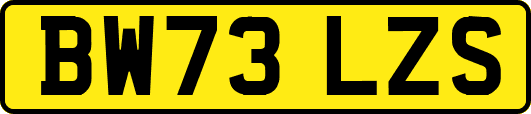 BW73LZS