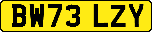 BW73LZY