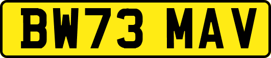 BW73MAV