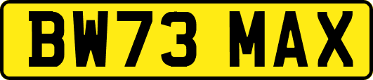 BW73MAX