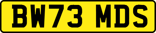 BW73MDS