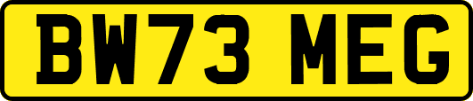 BW73MEG