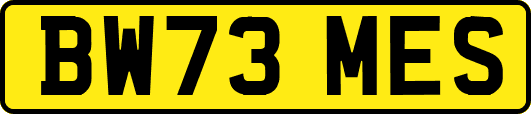 BW73MES