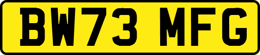 BW73MFG