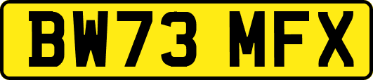 BW73MFX