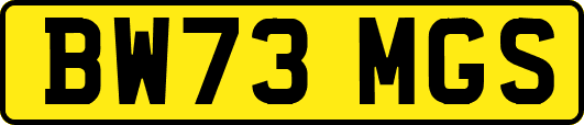 BW73MGS