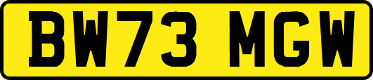 BW73MGW