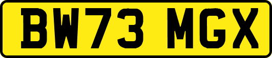 BW73MGX