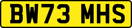 BW73MHS