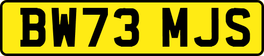 BW73MJS